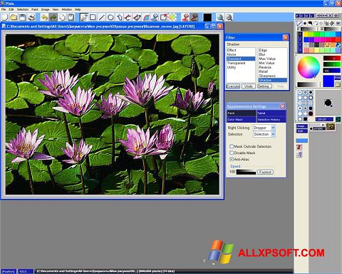 Capture d'écran Pixia pour Windows XP