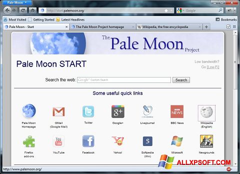 Capture d'écran Pale Moon pour Windows XP
