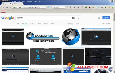 Capture d'écran Cyberfox pour Windows XP