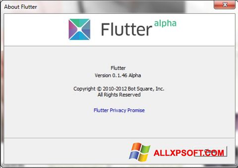 Capture d'écran Flutter pour Windows XP