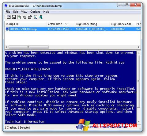 Capture d'écran BlueScreenView pour Windows XP