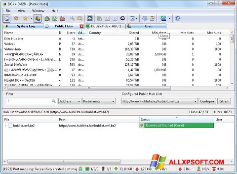 Capture d'écran DC++ pour Windows XP