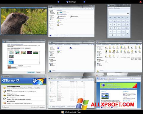 Capture d'écran Dexpot pour Windows XP