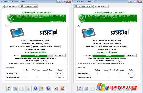 Capture d'écran SSDLife pour Windows XP