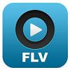 FLV Player pour Windows XP