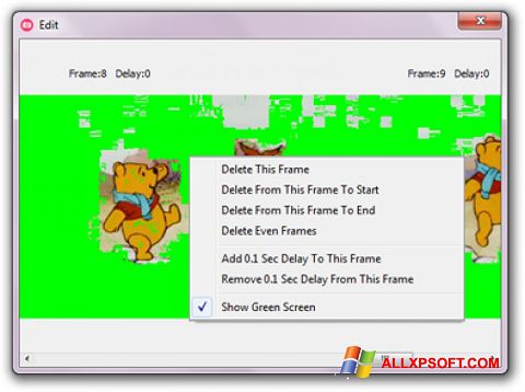 Capture d'écran GifCam pour Windows XP