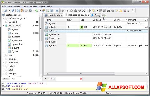 Capture d'écran HeidiSQL pour Windows XP