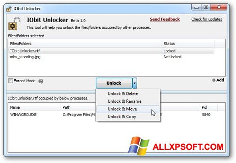 Capture d'écran IObit Unlocker pour Windows XP