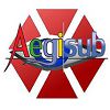Aegisub pour Windows XP