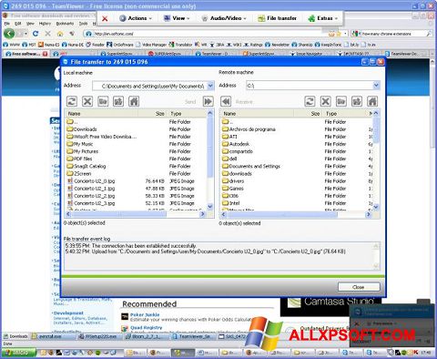Capture d'écran TeamViewer pour Windows XP