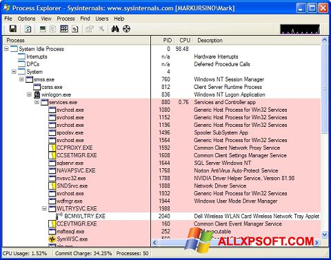 Capture d'écran Process Explorer pour Windows XP