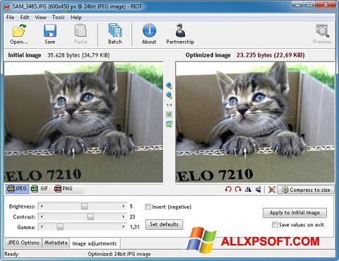 Capture d'écran RIOT pour Windows XP