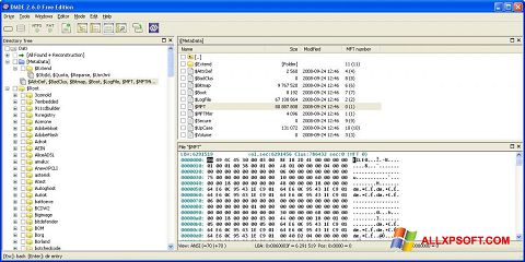 Capture d'écran DMDE pour Windows XP
