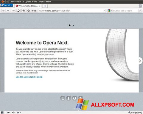 Capture d'écran Opera Developer pour Windows XP